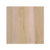 poplar wood grain sample